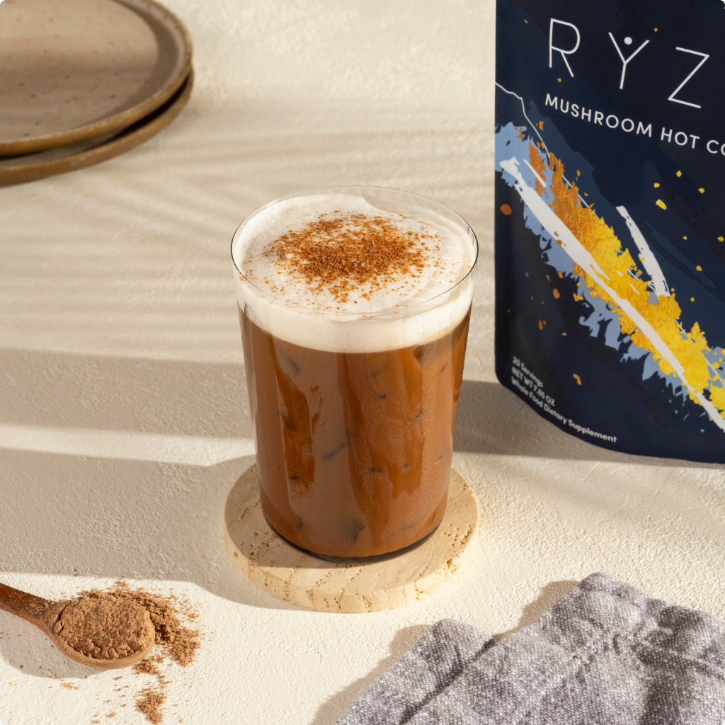 Nighttime Mushroom Cocoa Starter Bag R8 l9