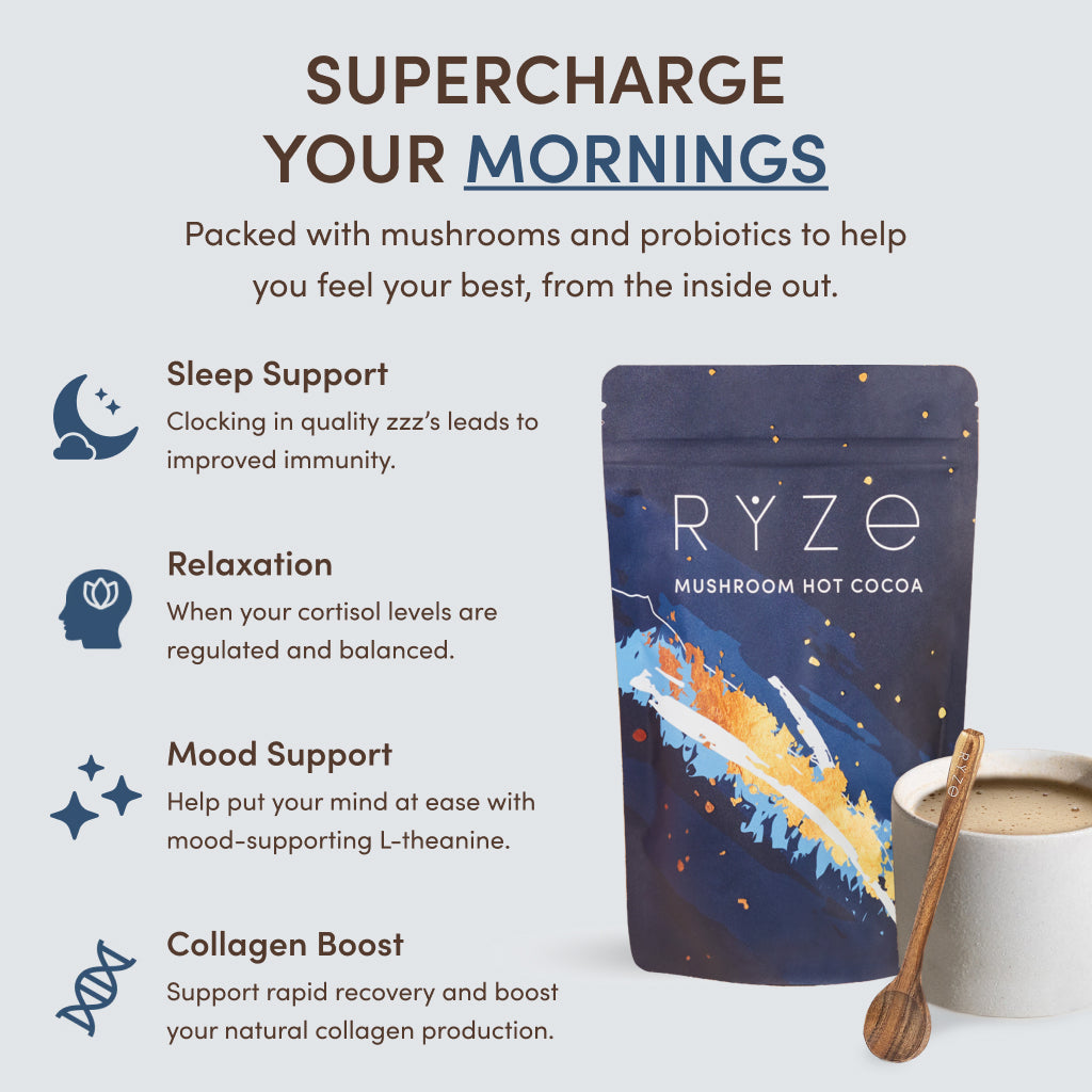 Nighttime Mushroom Cocoa Starter Bag R8 l9