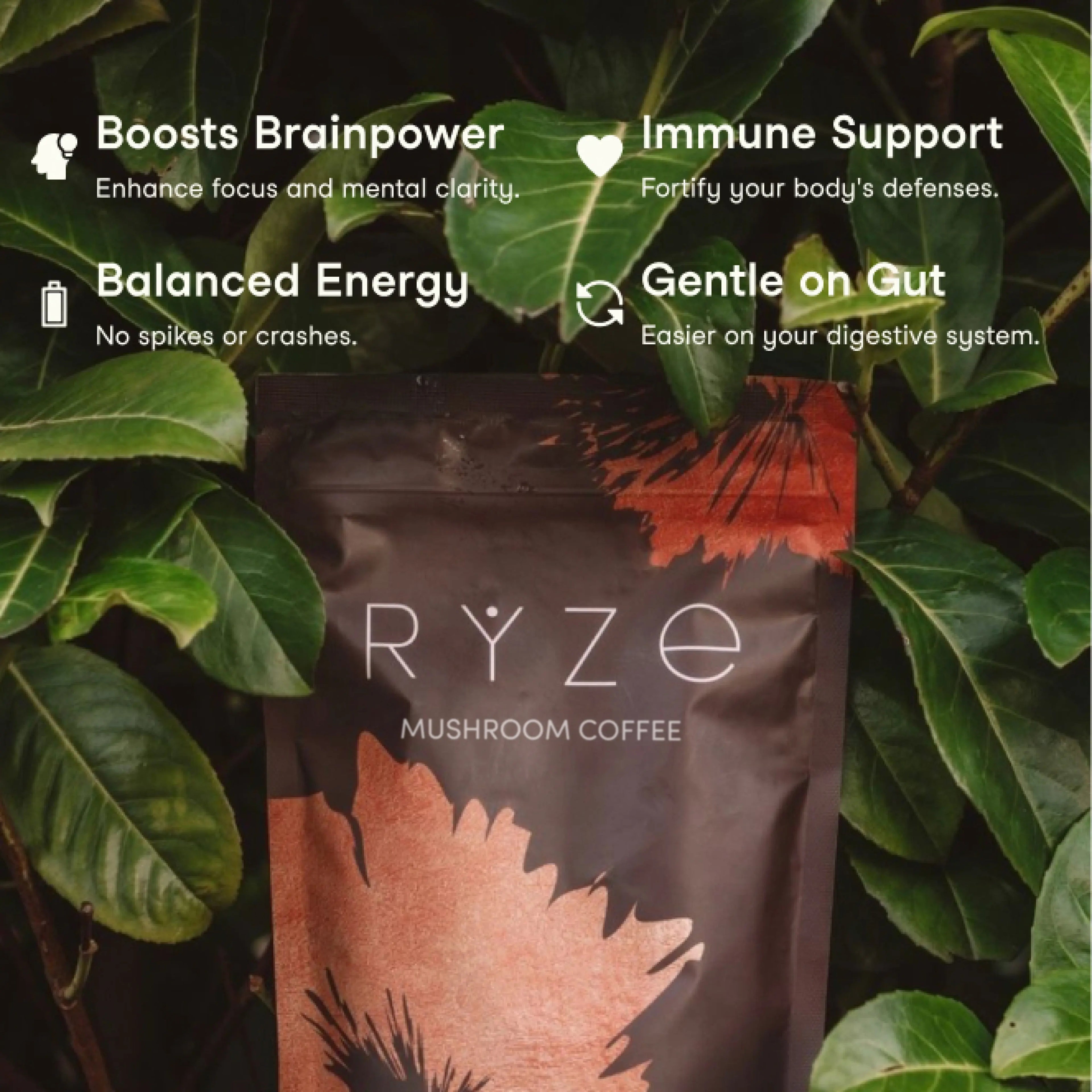 Mushroom Coffee — Organic Instant Coffee with Cordyceps & Reishi, 30 Servings G5 li