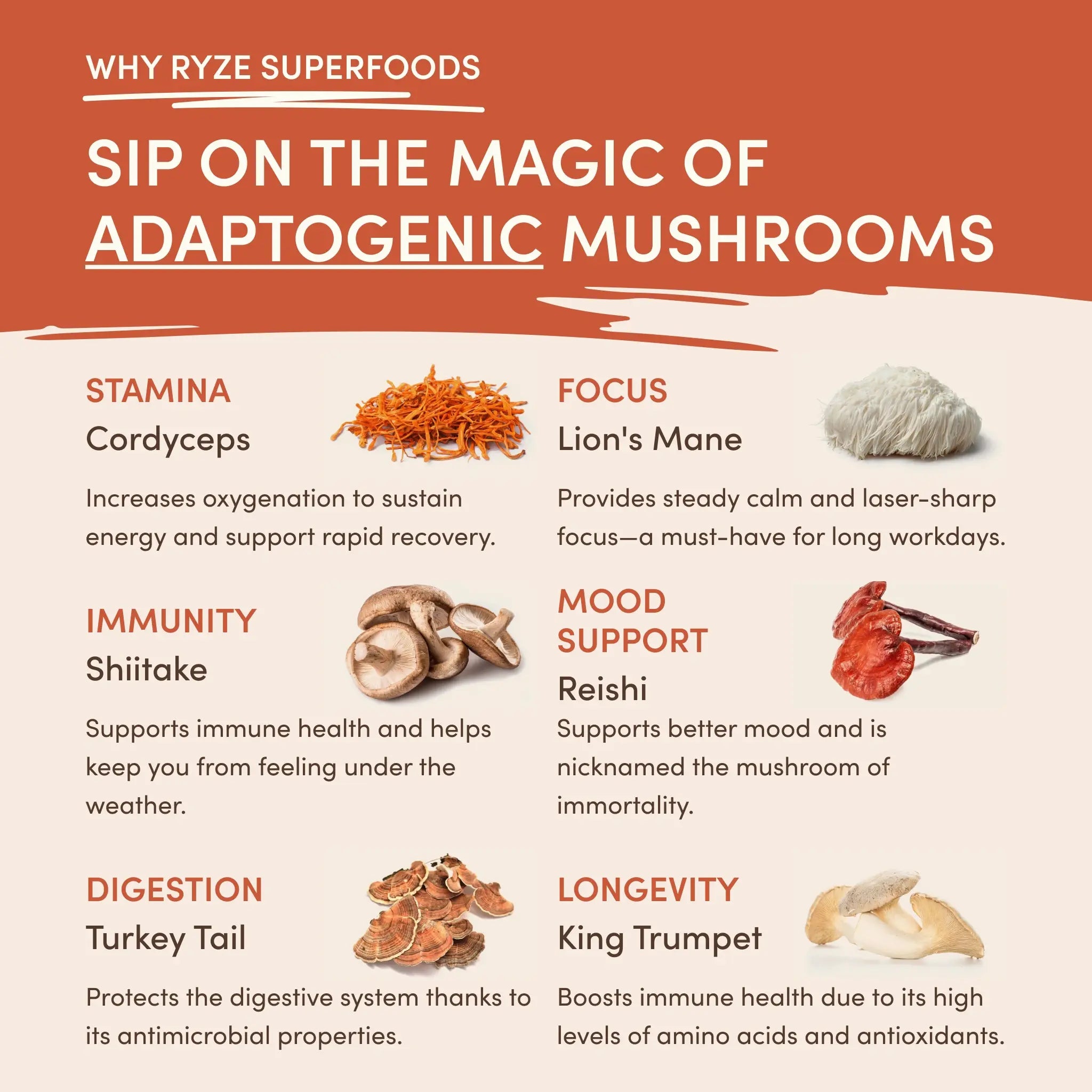 Mushroom Coffee — Organic Instant Coffee with Cordyceps & Reishi, 30 Servings G5 li