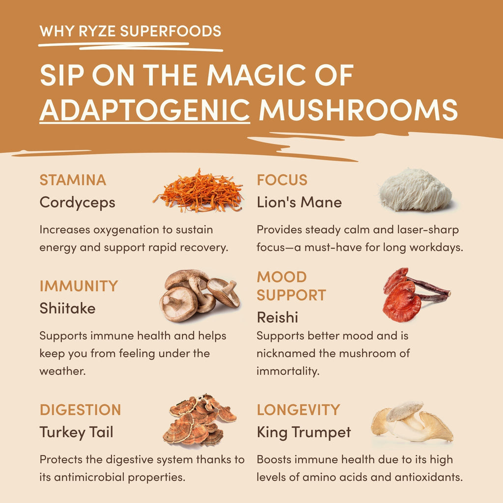 Mushroom Overnight Oats (14 Servings) N8 TH