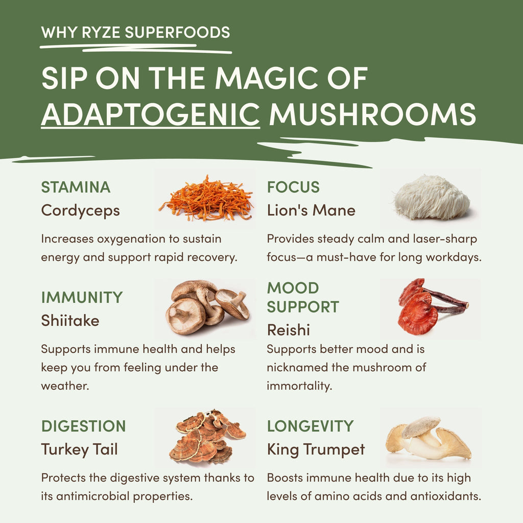 Mushroom Matcha — Organic Instant Matcha Latte with Lion's Mane & King Trumpet, 30 Servings B7 8H