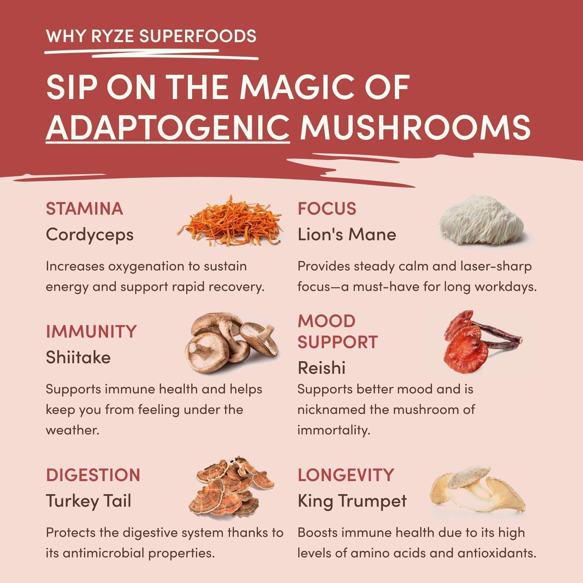 Mushroom Chai — Organic Instant Chai with Reishi & Organic Black Tea, 20 Servings S1 3Y