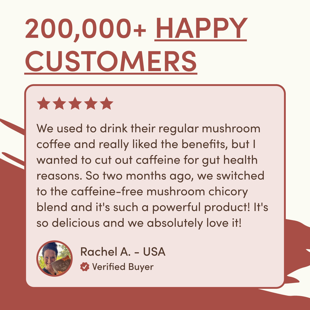 Mushroom Chicory — Organic Instant Chicory with Shitake & Lions mane, 30 Servings W2 Gu