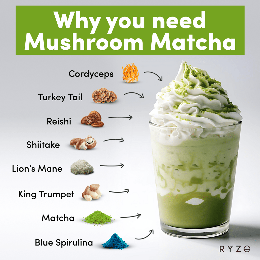 Organic Mushroom Matcha Starter Kit (60 servings) I4 66