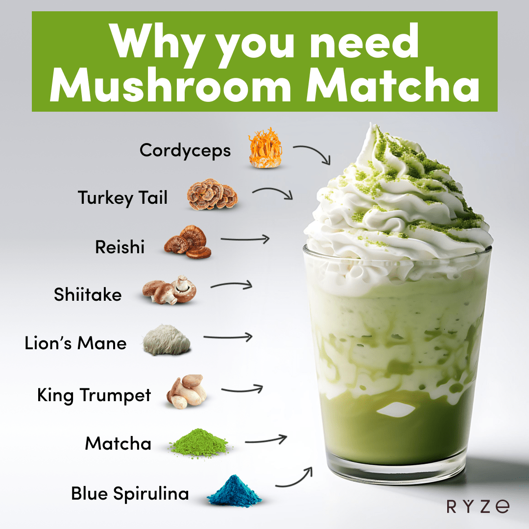 Organic Mushroom Matcha Starter Kit (60 servings) I4 66