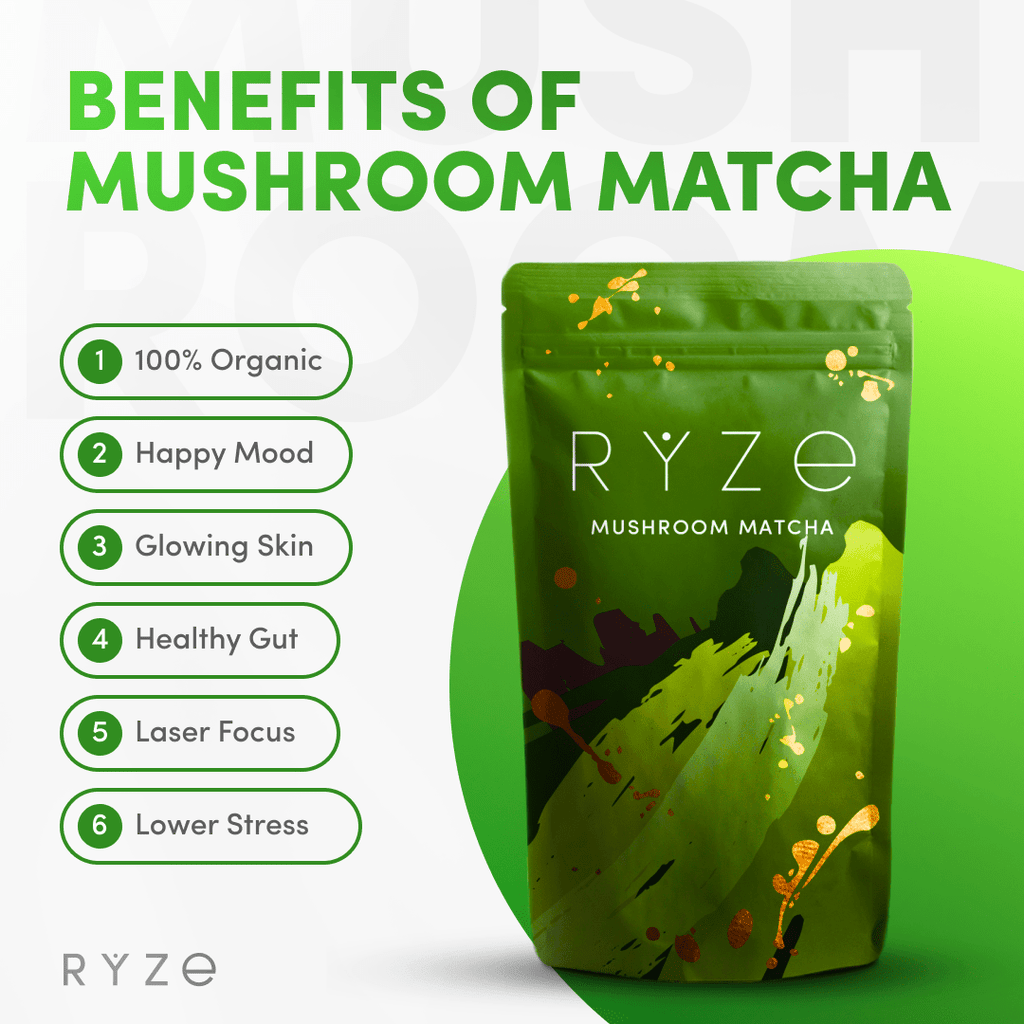 Organic Mushroom Matcha Starter Kit (60 servings) I4 66