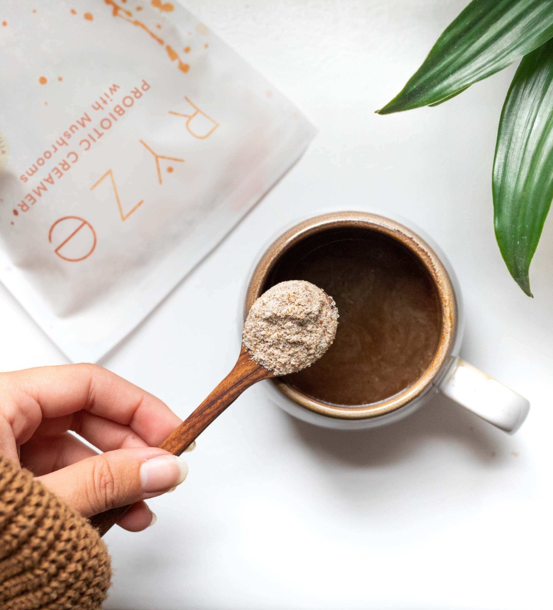 Try our Probiotic Creamer for 50% OFF! L4 zb